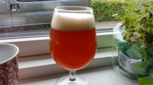 En lille håndbryg hjemme i køkkennet