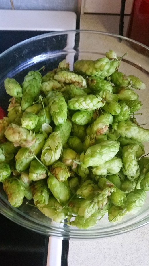 wp-1411323460761 image