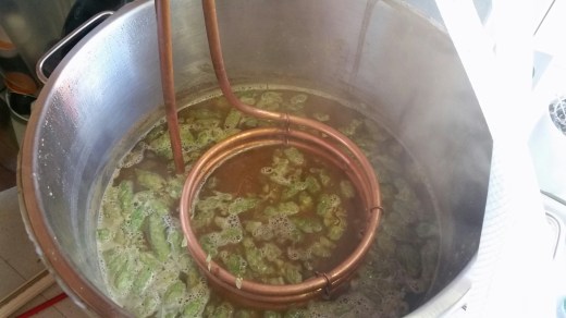 wp-1411323504185 image