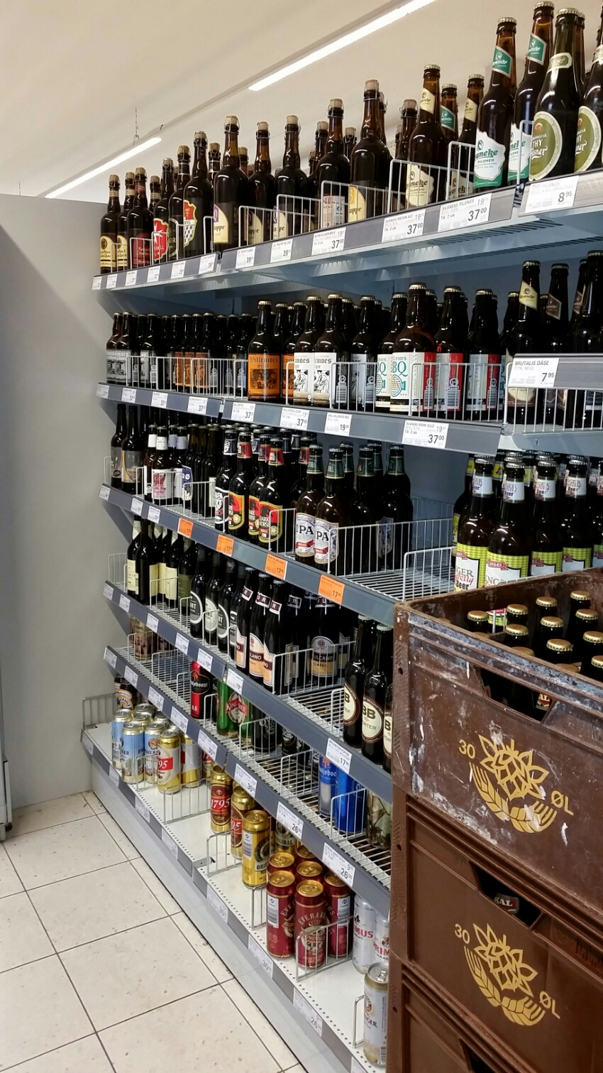 wp-1431718777159 image