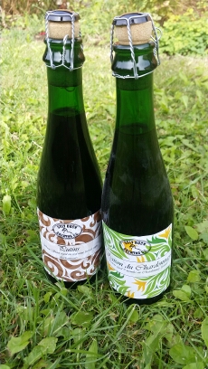 wp-1440880598984 image