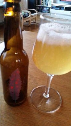 wp-1450186901966 image