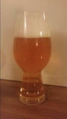 wp-1452375354705 image