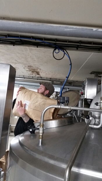 wp-1458904931686 image