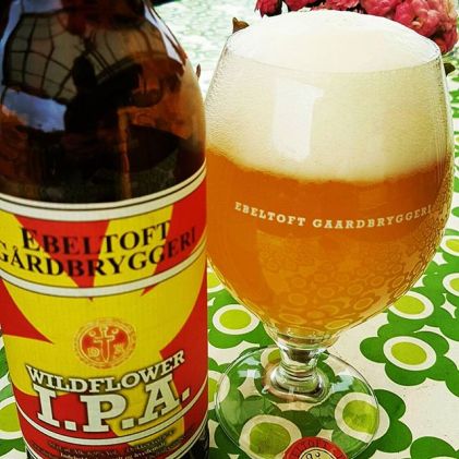 13551554_157431434661014_2037789291_n