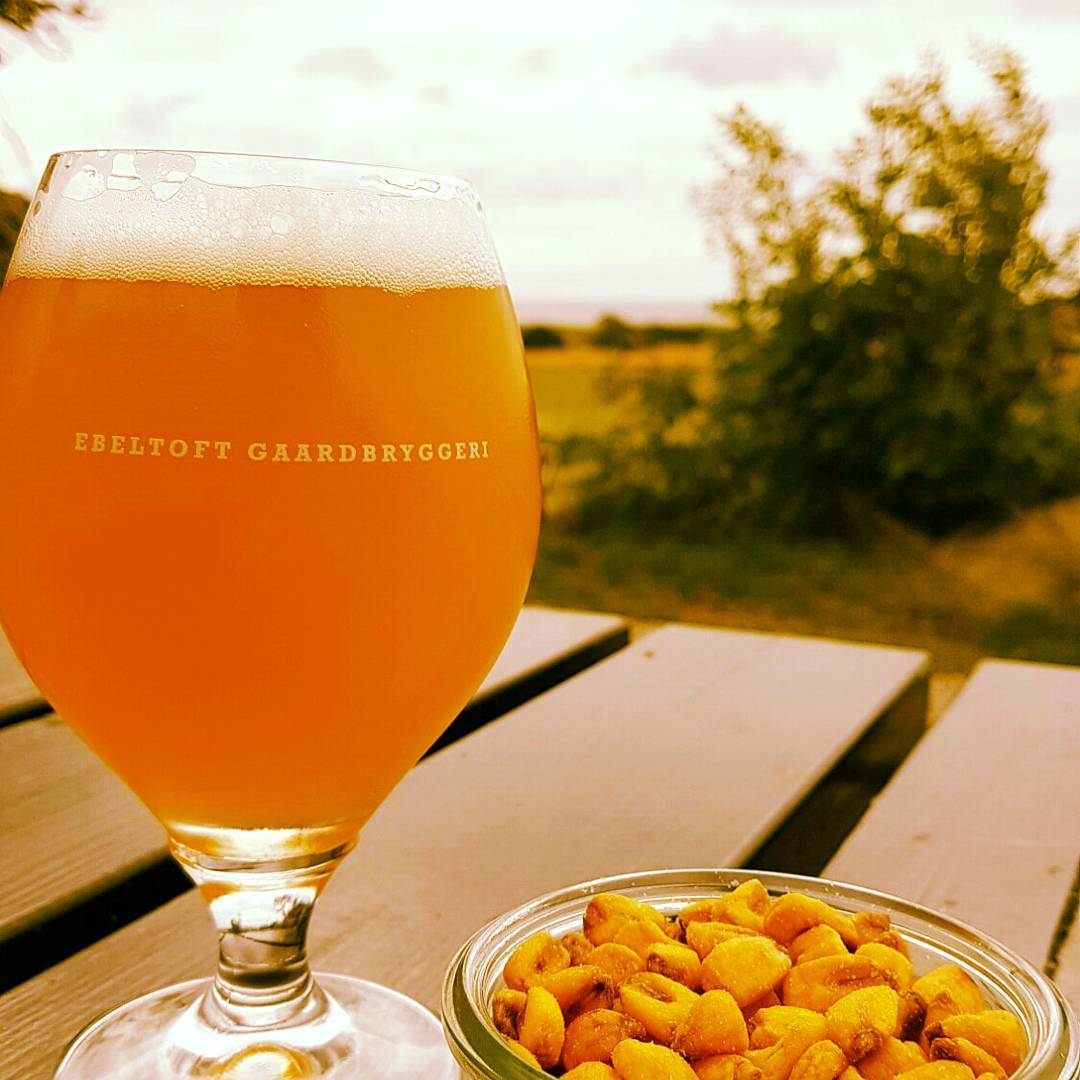 13767716_1600827396914831_1963037560_n1